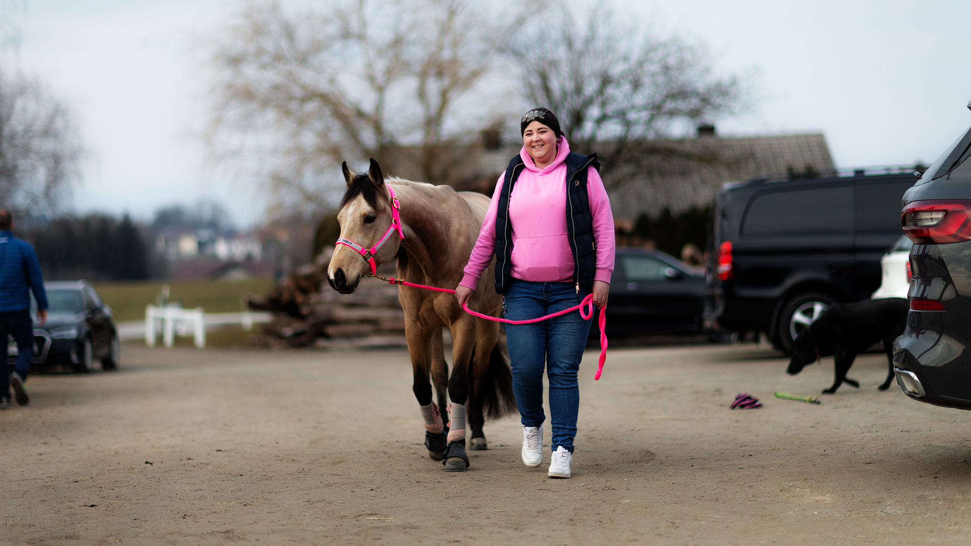 wendig, stark, Nerven, Sensibilität, hohe, Tempo, gelassen, hinnehmen, heftig, Körperbau, Temperament, grundsätzlich, Pferderasse, Reiningsport, Westernpferderasse, American Quarter Horses, Paint, Ausrüstung, Showarena, langärmlig, Hemd, Kragen, Jeans, Stiefel, Westernhut, Chaps, Sporen, gepflegt, Bild, Kleidung, Satteldecke, idealerweise, farblich, abgestimmt, Reiningsattel, Dressursattel, richtig, Sitz, 3-jährig, 4-jährig, Prüfung, beidhändig, Trense, Snaffle Bit, gebisslos, Hackamore, Bosal, einhändig, Kandare, Bit, Älter, Bestandteil, Beschlag, speziell, Sliding Plates, besonderes, Eisen, Hinterhuf, meterlang, Gleiten, Hinterhand, Freizeit, Zucht, Sport, Futurity, AQHA, DQHA, Horsemanship, Camp, Freizeitreiter, Turnierreiter, Jugendlich, Erwachsen, hinterfragen, weiterbilden, harmonisch, Beziehung, Partnerpferd, Fair, respektvoll, Umgang, resultiert, ursprünglich, US-amerikanisch, Ranch-Reitweise, Bodenarbeit, Haltung, Pflege, Horseman, hervorragend, praktisch, theoretisch, Kenntniss, Faszination, exklusiv, Wissen, professionell